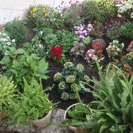 D'ici Et D'ailleurs 4* 콜드즈수르씨엘